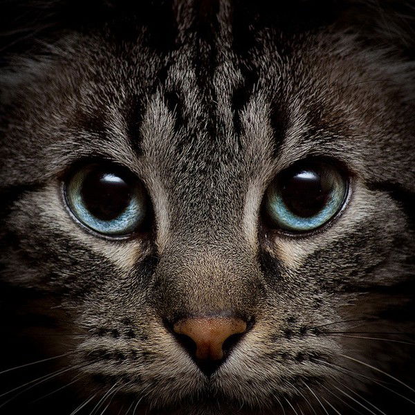 Александр Якимов