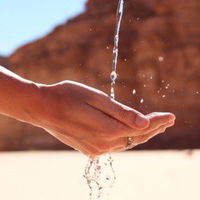 Ксения Дубровская