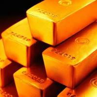 Наталья Терентьева