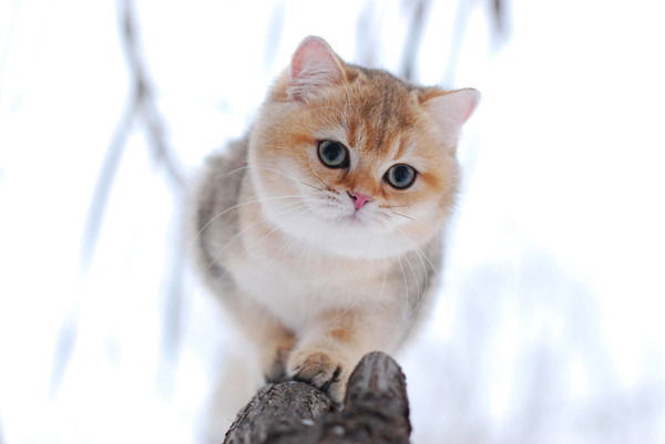 Людмила Морозова