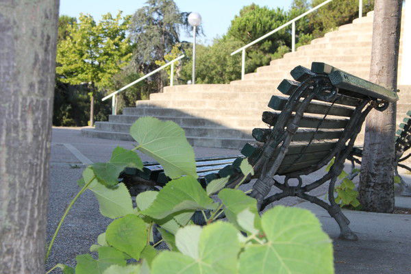 Екатерина Самарциева