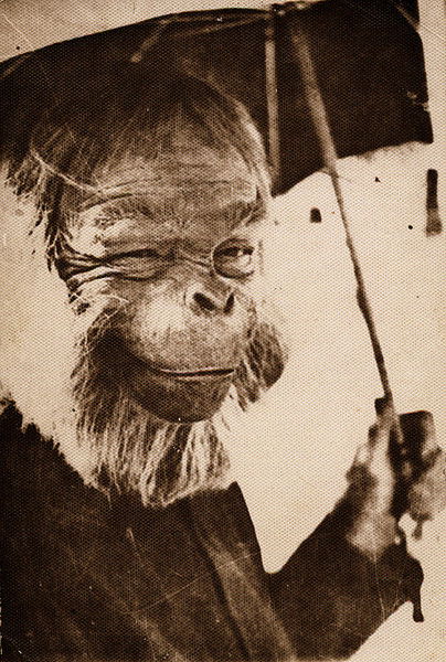 Анатолий М.