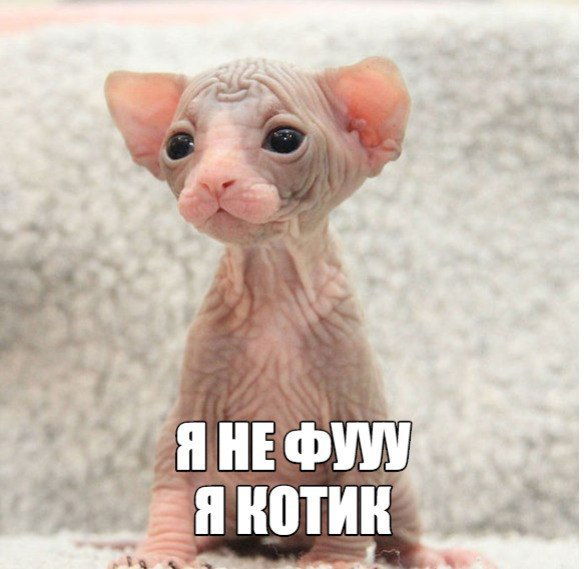 Шустрик Быстрый