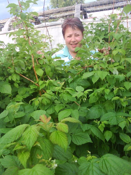 Людмила Николаевна