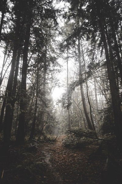 Илья Климин