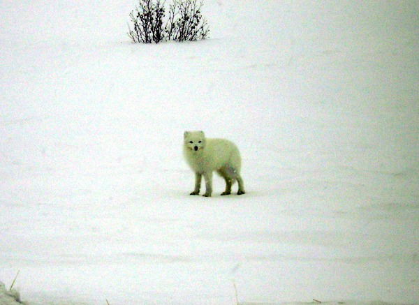 Сергей Ходунов