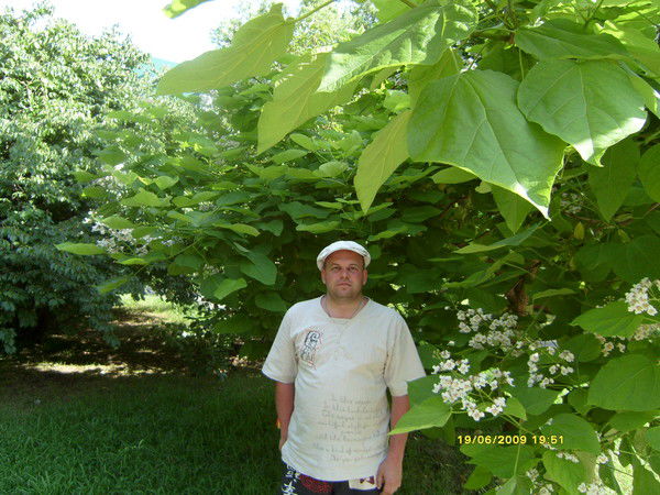 Николай Барышев