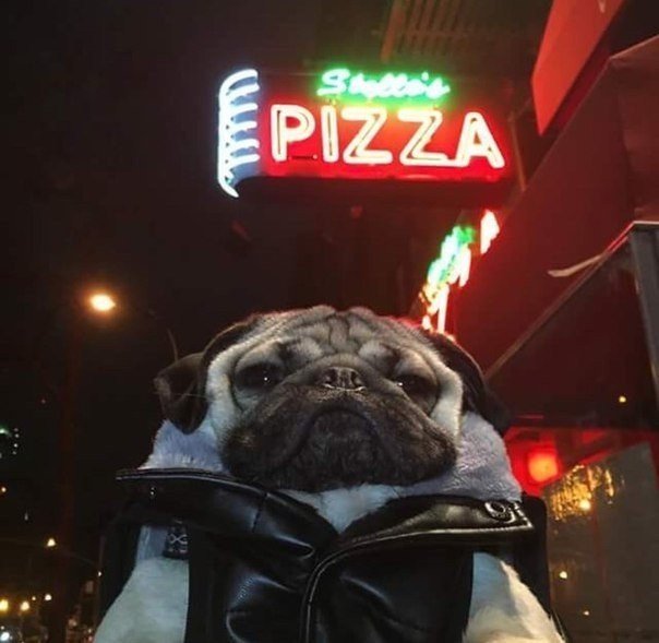 Светлана Игнатенко