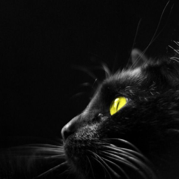 Наталья Горбатова