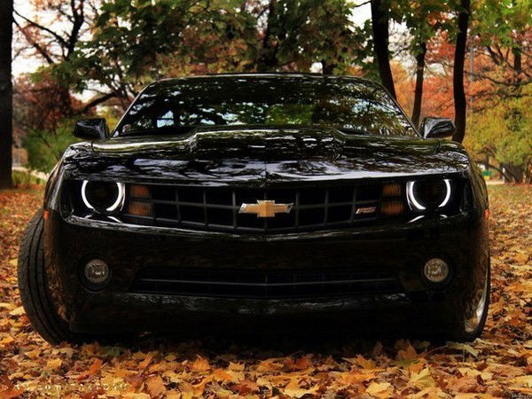 Екатерина Гриловская