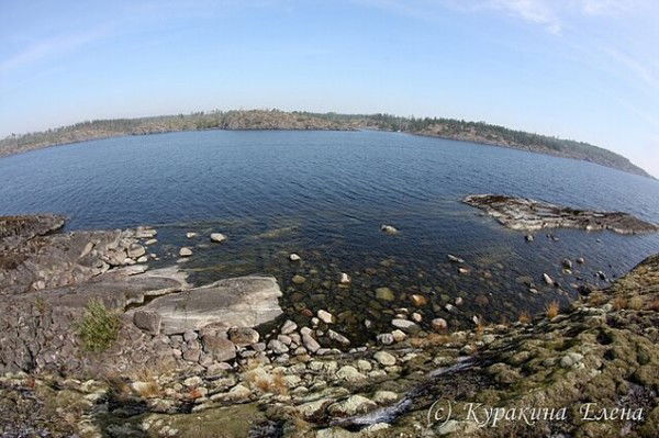 Екатерина Яндрикова