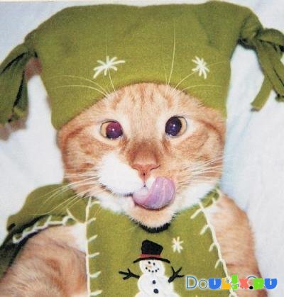 Ирина Падюкина