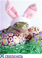 Оксана Шершнева