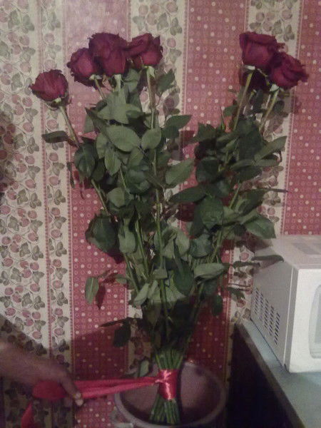 Елена Макеич