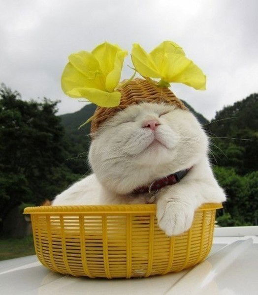 ****марина *****