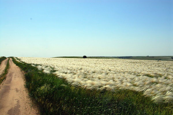 Виктор Смирнов