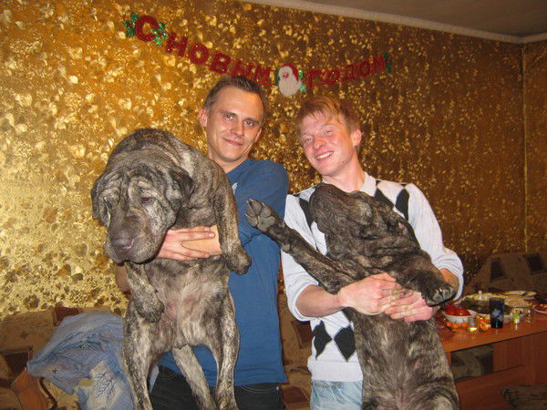 ***ваня Шапошников***