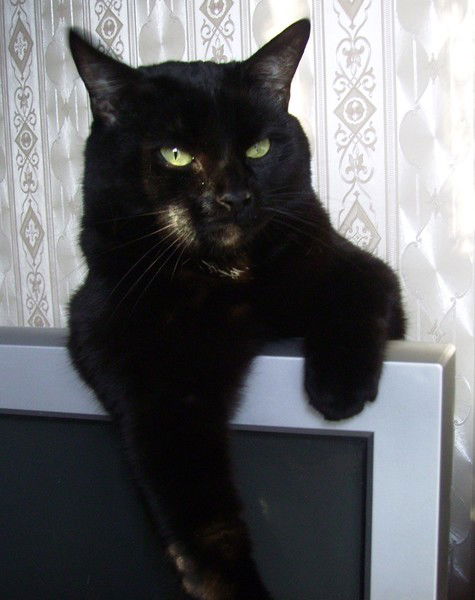 Алексей Лавров