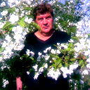 Михаил Самарцев