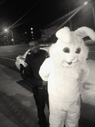 Анастасия Димицкая