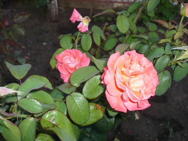 Ольга 888888888