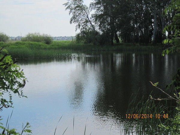 Лориса Лопата