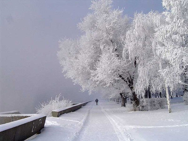 Ербол Сенгирбаев