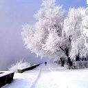 Ербол Сенгирбаев