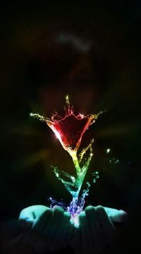 Эльвира Киселёва