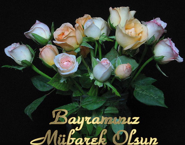 Эльвира Салахова