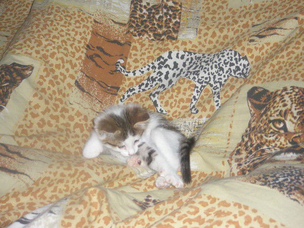 Светлана Крючкова