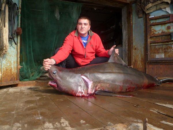 Антон Еловский