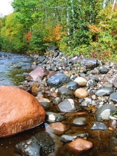 Алипа Бекмагамбетова