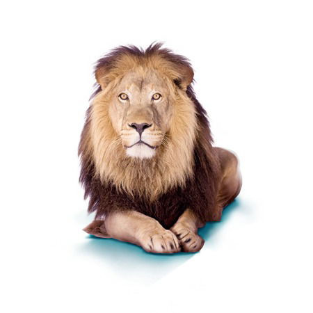 Геннадий Головин