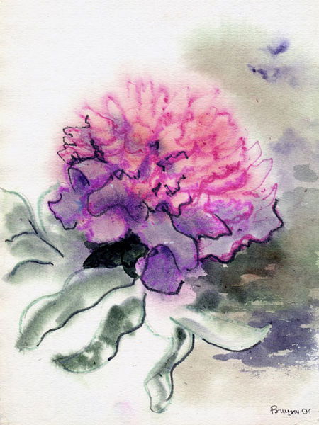 Елена Коробкина