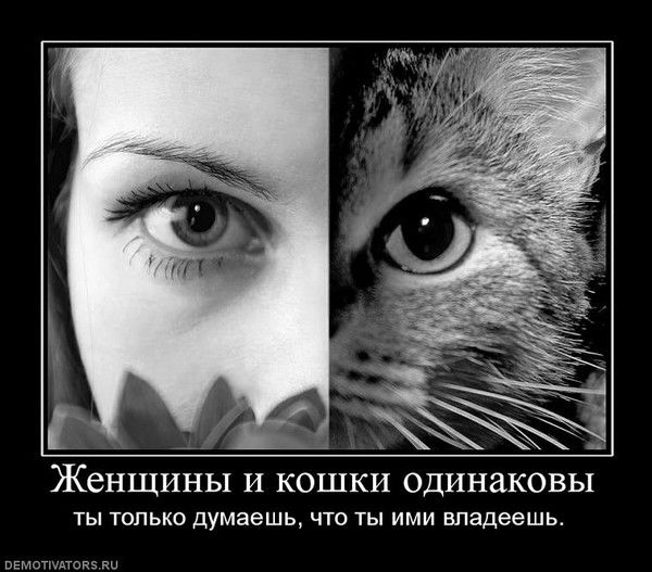 Наталия Борисенкова