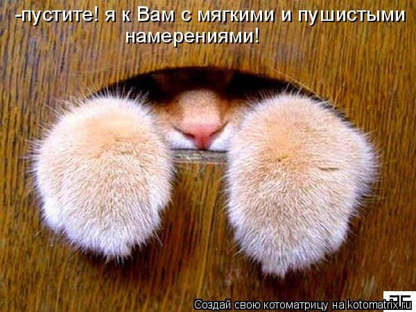 Татьяна Боброва