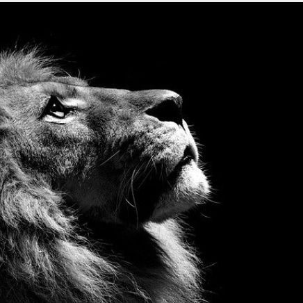 Рафаэль Елизаров