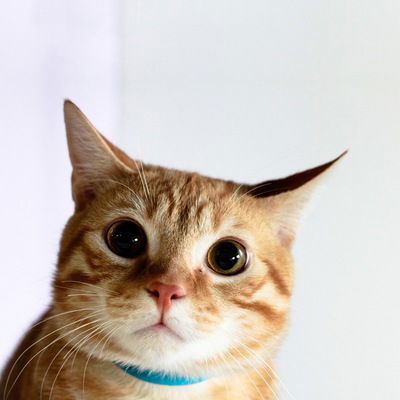 Женя Разорёнов