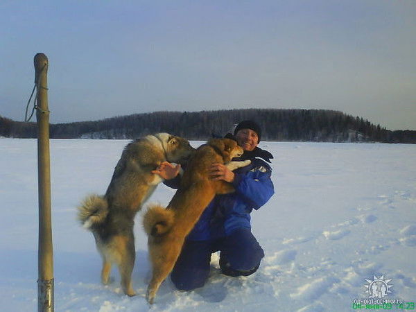 Вячеслав Гарбовский