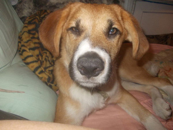 Наталья Бикташева-Харитонова