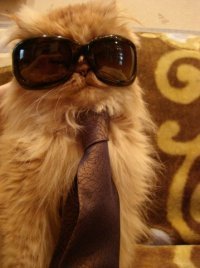 Игорь Роюков