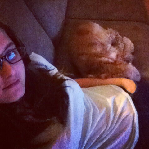 Елена Бахурова