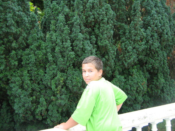 Михаил Синельников