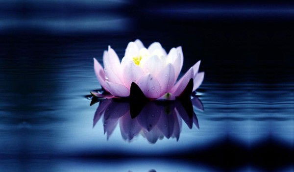 Динара Кенжегалиева