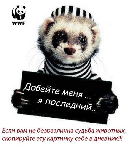 Юля Атрощенко