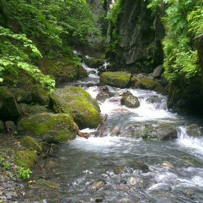 Мадина Миронова