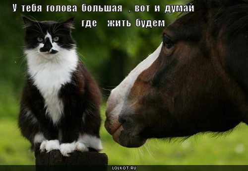 Михаил Турмышев