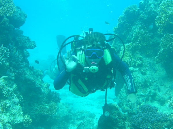 Дмитрий Чибирев