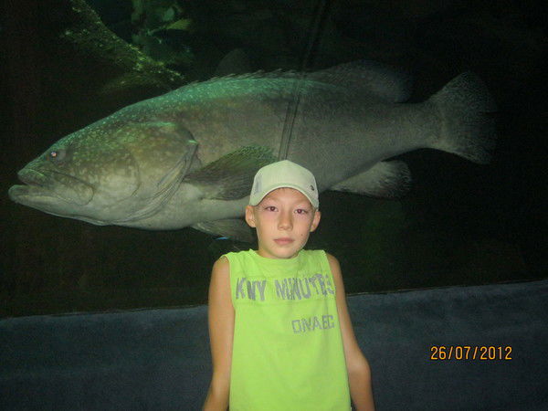 Артур Манихов